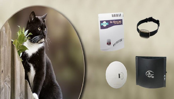 Collares de choque eléctrico para gatos y gatitos: ¿Están seguros? ¿Cuáles son los mejores? ¿Hay alternativas?