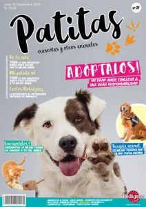 Gatos de terapia: Cómo conseguir uno, entrenar al tuyo para que se certifique, y más