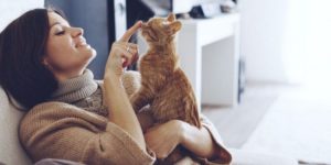 Mudarse al extranjero con mascotas: ¿Deberías traer tu gato cuando te mudes a un nuevo país?