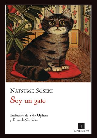 ¿Qué tan grande se pondrá mi gato y cuándo crecerá completamente? (¡Incluyendo una tabla de crecimiento del peso del gatito!) que-tan-grande-se-pondra-mi-gato-y-cuando-crecera-completamente-incluyendo-una-tabla-de-crecimiento-del-peso-del-gatito