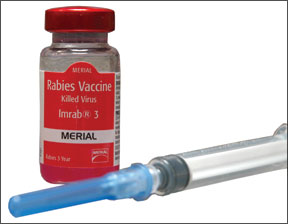 Más estados cambian el requisito de la vacuna contra la rabia