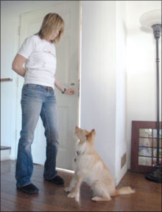 Entrenando al perro para que se quede