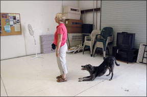 Control del estímulo canino mediante el entrenamiento positivo de perros