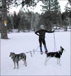 Actividades de invierno que puede disfrutar con su perro