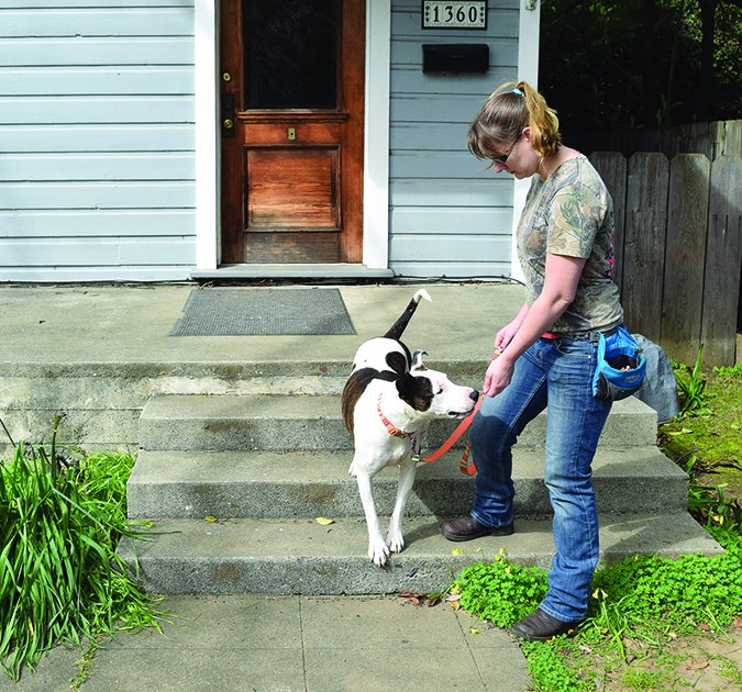 La correa suelta caminando: Entrenar a su perro para que no tire