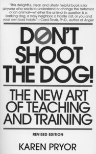 Divertidas técnicas de entrenamiento de perros usando la forma!
