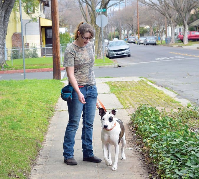 Las 3 razones por las que los perros ignoran nuestras pistas