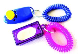 Entrenamiento de clicker 101