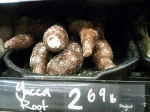 Raíz de yuca para el dolor de la artritis canina