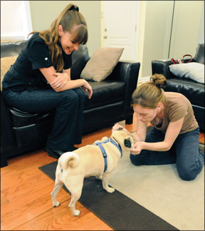 Victoria Stilwell promueve el entrenamiento positivo de perros en la televisión