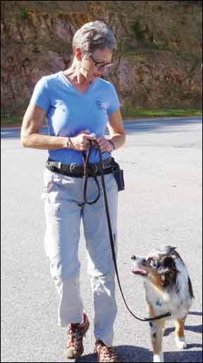 Cómo enseñar a soltar la correa caminando a tu perro