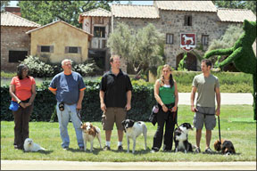El Entrenador de Perros Positivos gana el segundo lugar en "El Mejor Perro Americano" de la CBS