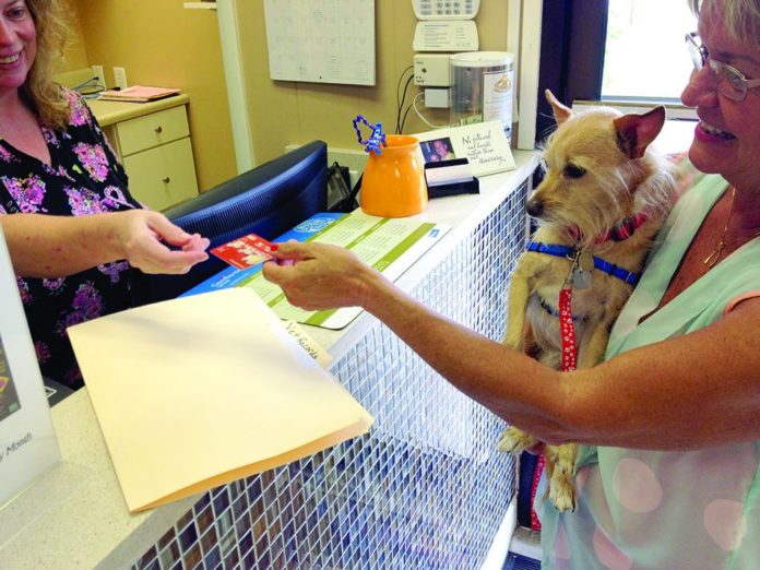 3 pasos para la visita veterinaria perfecta para tu perro (y para ti)
