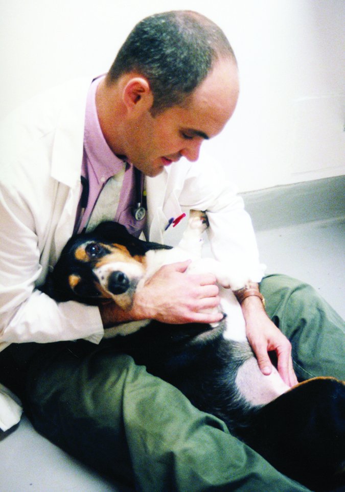 Riesgos y beneficios de la esterilización de su perro