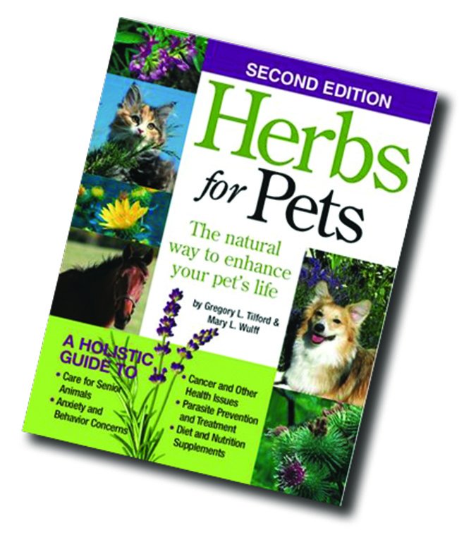 Ayude a curar a su perro con hierbas comunes