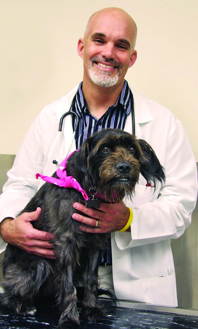 Una nueva vacuna contra el cáncer de hueso para los perros