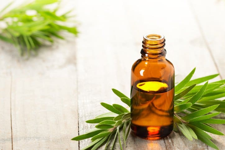 Los difusores de aceite del árbol del té son tóxicos para los perros