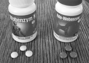 Wobenzym: Un suplemento de enzimas digestivas para perros