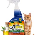 Ahuyentar gatos: métodos efectivos y seguros ahuyentar-gatos-metodos-efectivos-y-seguros