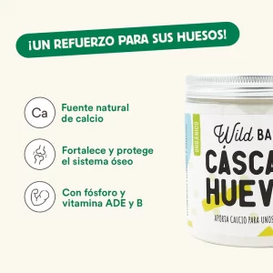 Cáscara de huevo para perros: beneficios y riesgos