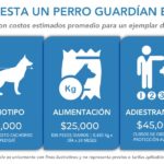 ¿Cuánto cuesta adiestrar un perro? precios y factores a considerar