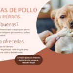 Hueso de pollo para perros: ¿es seguro o peligroso? hueso-de-pollo-para-perros-es-seguro-o-peligroso