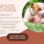 que-huesos-pueden-comer-los-perros-y-cuales-evitar
