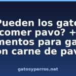 ¿Pueden los gatos comer pavo? + Alimentos para gatos con carne de pavo ¿Pueden los gatos comer pavo? + Alimentos para gatos con carne de pavo