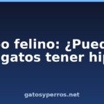 Hipo felino: ¿Pueden los gatos tener hipo?
