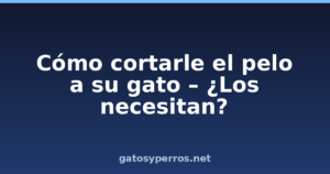 Cómo cortarle el pelo a su gato – ¿Los necesitan?
