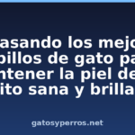 Repasando los mejores cepillos de gato para mantener la piel de su gatito sana y brillante Repasando los mejores cepillos de gato para mantener la piel de su gatito sana y brillante