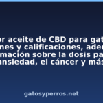 El mejor aceite de CBD para gatos con revisiones y calificaciones, además de información sobre la dosis para la ansiedad, el cáncer y más