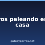 Perros peleando en su casa