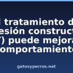 El tratamiento de agresión constructiva (CAT) puede mejorar el comportamiento