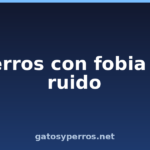 Perros con fobia al ruido