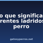Lo que significan diferentes ladridos de perro