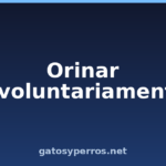 Orinar involuntariamente Orinar involuntariamente