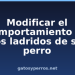 Modificar el comportamiento de los ladridos de su perro