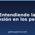 Entendiendo la agresión en los perros Entendiendo la agresión en los perros