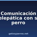 Comunicación telepática con su perro Comunicación telepática con su perro