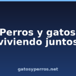 Perros y gatos viviendo juntos