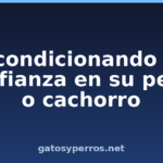 Acondicionando la confianza en su perro o cachorro