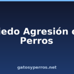Miedo Agresión en Perros