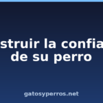Construir la confianza de su perro