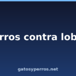 Perros contra lobos Perros contra lobos