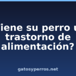 ¿Tiene su perro un trastorno de alimentación?