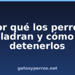 Por qué los perros ladran y cómo detenerlos
