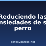 Reduciendo las ansiedades de su perro Reduciendo las ansiedades de su perro