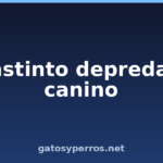 El instinto depredador canino
