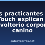 Los practicantes de TTouch explican el «envoltorio corporal» canino